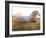 White Camargue Horse Running, Provence, France-Jim Zuckerman-Framed Photographic Print