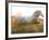 White Camargue Horse Running, Provence, France-Jim Zuckerman-Framed Photographic Print