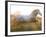 White Camargue Horse Running, Provence, France-Jim Zuckerman-Framed Photographic Print