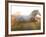 White Camargue Horse Running, Provence, France-Jim Zuckerman-Framed Photographic Print