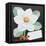 White Camelia-Jennifer Abbott-Framed Premier Image Canvas