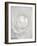 White camellia-Clive Nichols-Framed Photographic Print