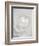 White camellia-Clive Nichols-Framed Photographic Print