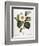 White Camellia-null-Framed Giclee Print