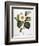 White Camellia-null-Framed Giclee Print