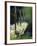 White Camomile in Garden-Joerg Lehmann-Framed Photographic Print