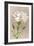 White Carnation-null-Framed Art Print