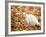 White Cat in Autumn Leaves-Rudi Von Briel-Framed Photographic Print