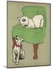 White Cat Relaxes on a Comfy Chair While a White Puppy Tries to Pull His Irritating Collar Off-Cecil Aldin-Mounted Photographic Print