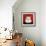 White Cat-Kourosh-Framed Photographic Print displayed on a wall
