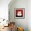 White Cat-Kourosh-Framed Photographic Print displayed on a wall