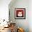 White Cat-Kourosh-Framed Photographic Print displayed on a wall