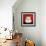 White Cat-Kourosh-Framed Photographic Print displayed on a wall