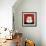 White Cat-Kourosh-Framed Photographic Print displayed on a wall