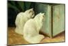 White Cats Watching Goldfish-Arthur Heyer-Mounted Giclee Print