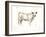 White Cattle I-Ethan Harper-Framed Art Print