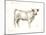 White Cattle I-Ethan Harper-Mounted Art Print