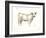 White Cattle I-Ethan Harper-Framed Art Print