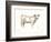 White Cattle I-Ethan Harper-Framed Premium Giclee Print