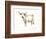 White Cattle II-Ethan Harper-Framed Premium Giclee Print