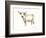 White Cattle II-Ethan Harper-Framed Premium Giclee Print