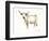 White Cattle II-Ethan Harper-Framed Premium Giclee Print