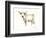 White Cattle II-Ethan Harper-Framed Premium Giclee Print