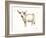 White Cattle II-Ethan Harper-Framed Art Print