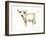 White Cattle II-Ethan Harper-Framed Art Print