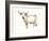 White Cattle II-Ethan Harper-Framed Art Print