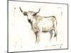 White Cattle II-Ethan Harper-Mounted Art Print