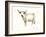 White Cattle II-Ethan Harper-Framed Art Print