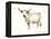 White Cattle II-Ethan Harper-Framed Stretched Canvas