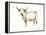 White Cattle II-Ethan Harper-Framed Stretched Canvas