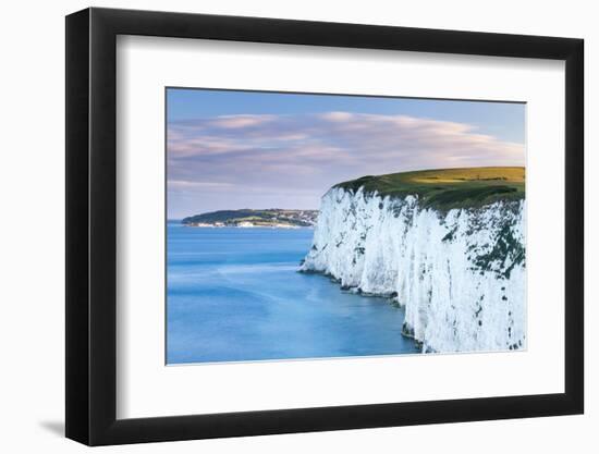 White Chalk Cliffs Near Old Harry Rocks, Jurassic Coast, Dorset, England, United Kingdom-John Alexander-Framed Photographic Print