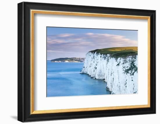 White Chalk Cliffs Near Old Harry Rocks, Jurassic Coast, Dorset, England, United Kingdom-John Alexander-Framed Photographic Print