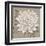 White Chalk Flower 1-Ariane Martine-Framed Art Print