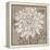 White Chalk Flower 2-Ariane Martine-Framed Stretched Canvas