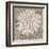 White Chalk Flower 2-Ariane Martine-Framed Art Print