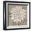 White Chalk Flower 2-Ariane Martine-Framed Art Print