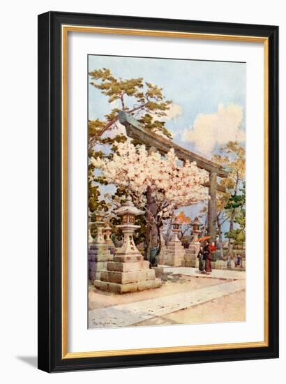 White Cherry at Kitano-Ella Du Cane-Framed Giclee Print