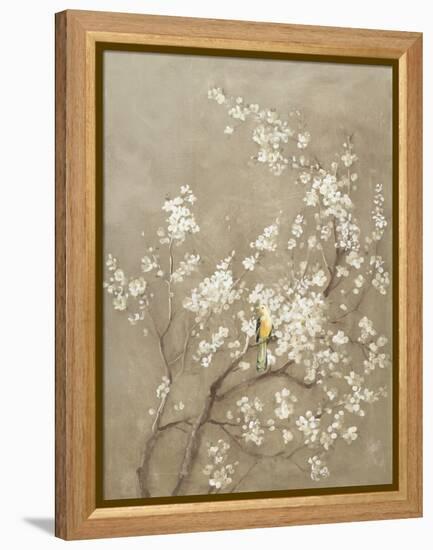 White Cherry Blossom I Neutral Crop Bird-Danhui Nai-Framed Stretched Canvas