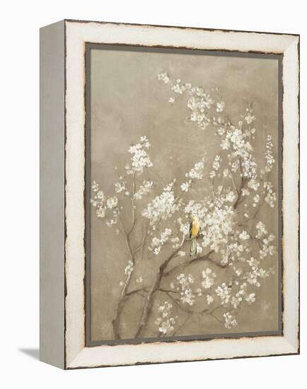 White Cherry Blossom I Neutral Crop Bird-Danhui Nai-Framed Stretched Canvas