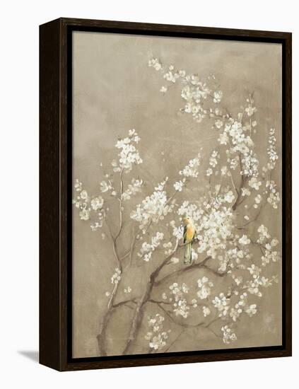 White Cherry Blossom I Neutral Crop Bird-Danhui Nai-Framed Stretched Canvas