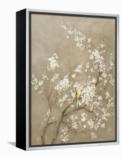 White Cherry Blossom I Neutral Crop Bird-Danhui Nai-Framed Stretched Canvas