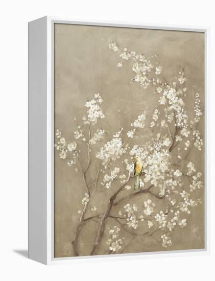 White Cherry Blossom I Neutral Crop Bird-Danhui Nai-Framed Stretched Canvas