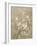 White Cherry Blossom I Neutral Crop Bird-Danhui Nai-Framed Premium Giclee Print