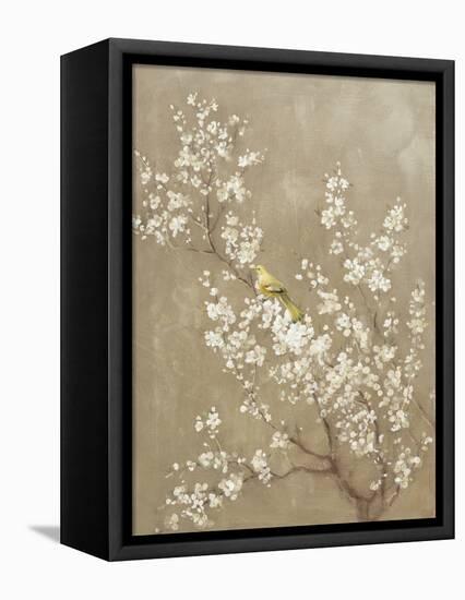 White Cherry Blossom II Neutral Crop Bird-Danhui Nai-Framed Stretched Canvas