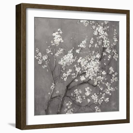 White Cherry Blossoms I on Grey Crop-Danhui Nai-Framed Art Print