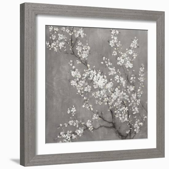 White Cherry Blossoms II on Grey Crop-Danhui Nai-Framed Art Print